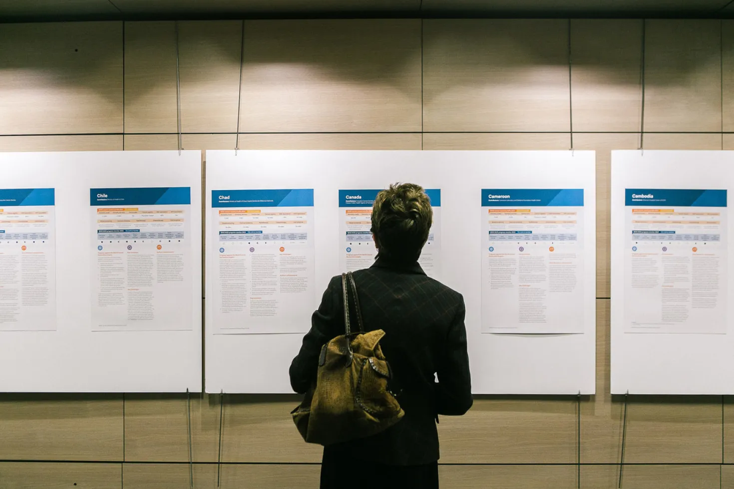 Woman looking at country profile at the 2016 World Cancer Congress