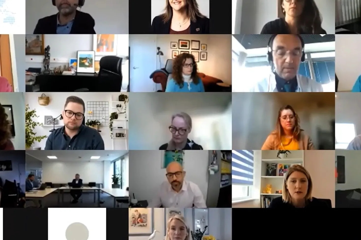 screenshot of CEO programme