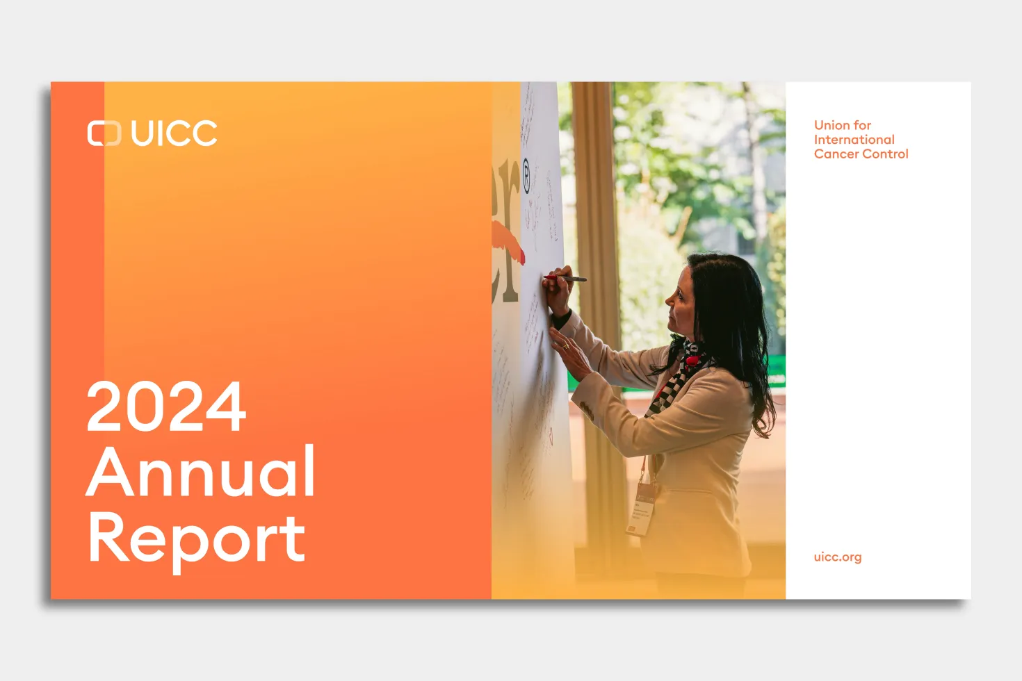 Annual report 2024 on a grey background