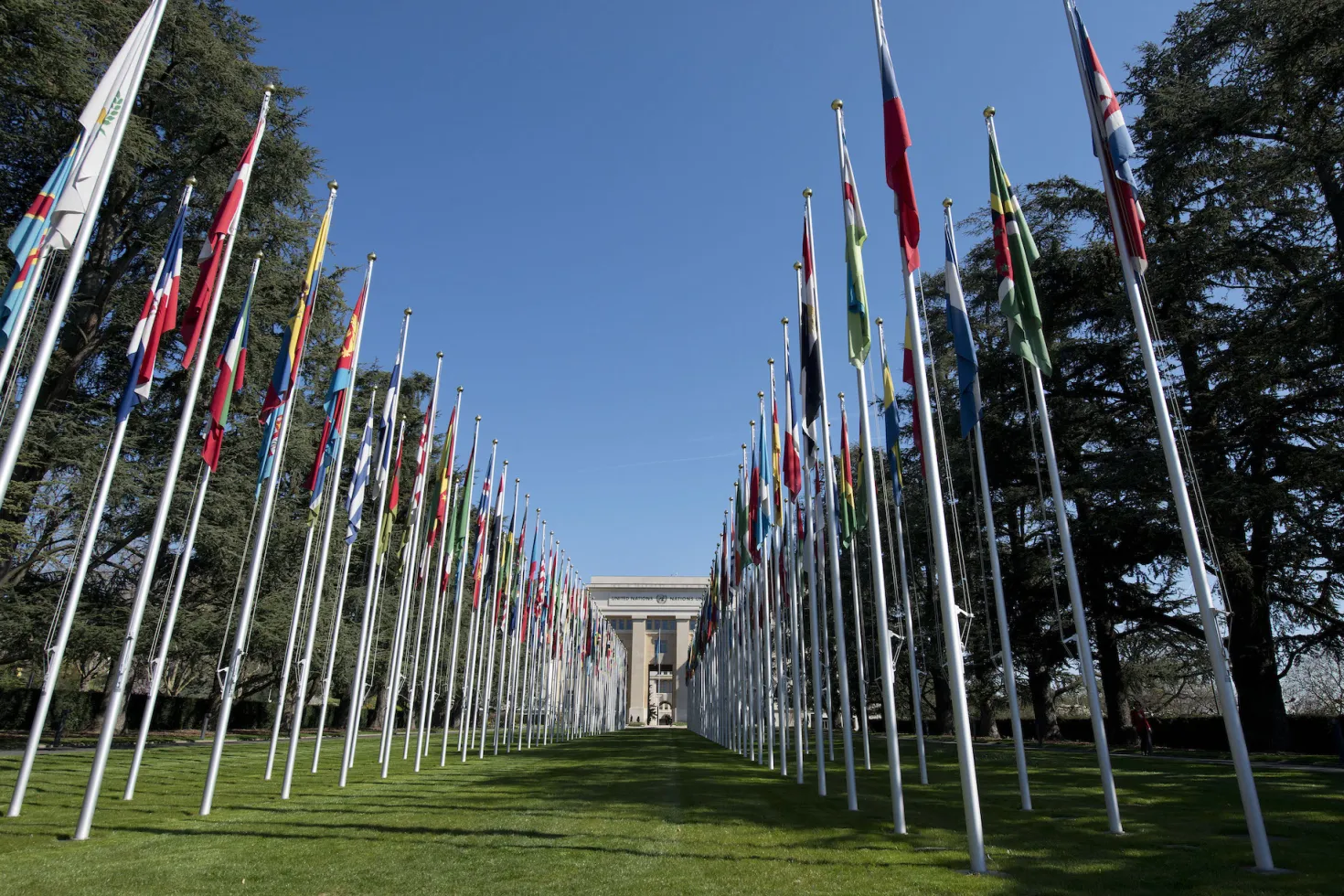 The “Allée des drapeaux” ("Flags Way") at the Palais des Nations, seat of the UN Office at Geneva (UNOG) © UN Photo/Jean-Marc Ferré