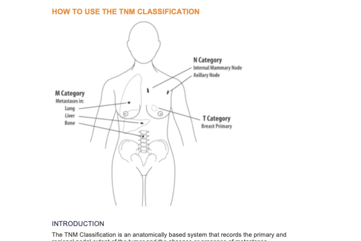 How to use TNM How to use TNM