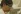 Shoulder-length framed side shot of Asian woman wearing glasses