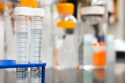 test tubes in laboratory
