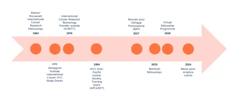 fellowship_timeline3