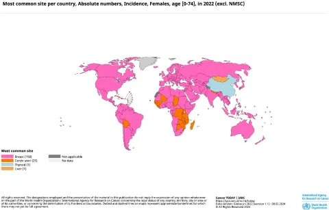 graphic-absolute-numbers-inc-females-age-0-74-in-2022-continents.pdf