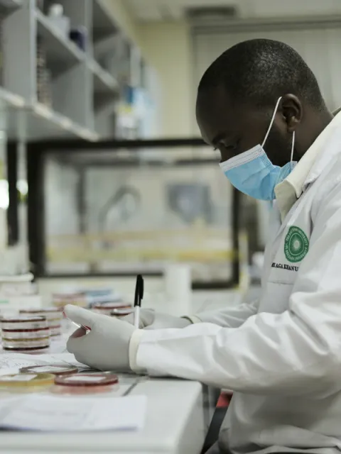 Researcher at his desk