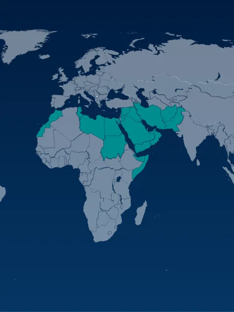 Eastern mediterranean region